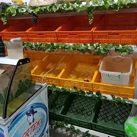 Gök önüm üçin ýaşik