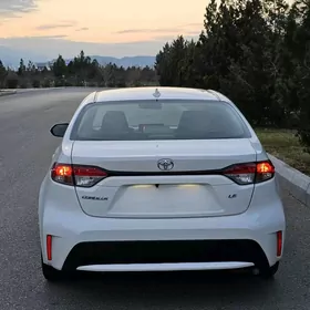Toyota Corolla 2019