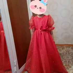 caga koynejik