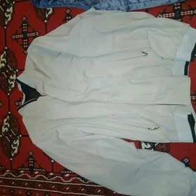 Koynek jinsi