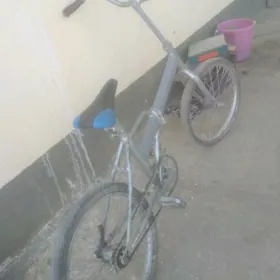 Tigiri kama 20lik