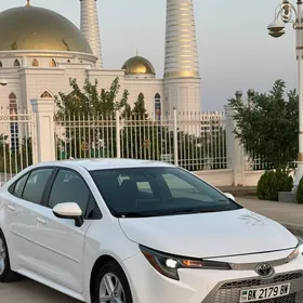 Toyota Corolla 2020