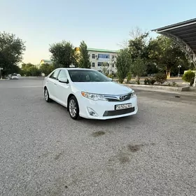 Toyota Camry 2013