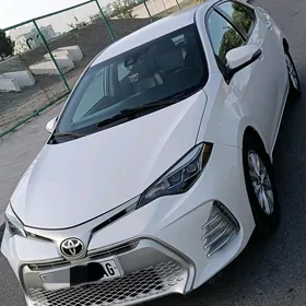 Toyota Corolla 2017