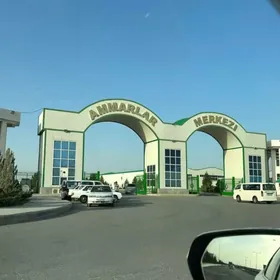 Ammarlar merkezi