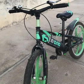 тигир