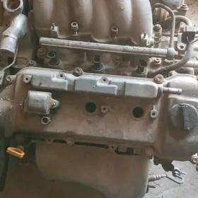 Motor siena