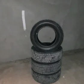TEKER PAKRIŞKA