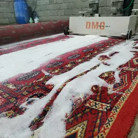 Haly moyka