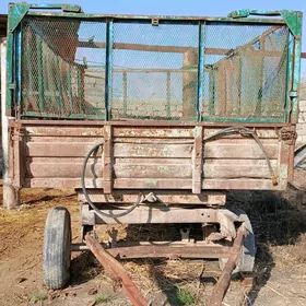 MTZ 82 2022