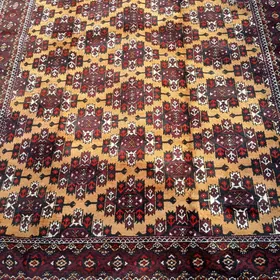 Haly Gabsa goli