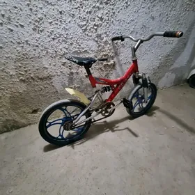 салют
