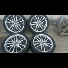 kemiri 19