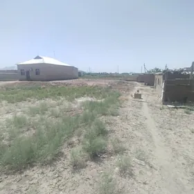 Таможня дорога