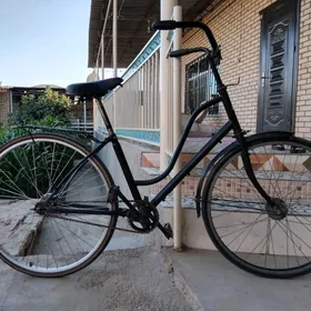 26lyk