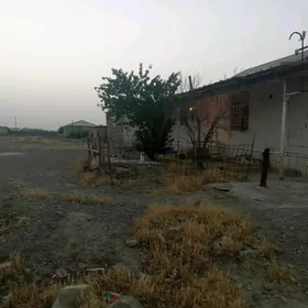 Baherden