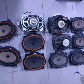 jbl radnoy kalonkalar