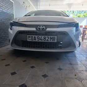 Toyota Corolla 2021