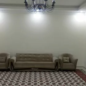 Taze zaman kotej