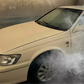 Toyota Camry 2001