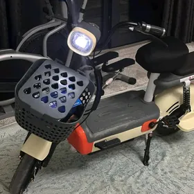 SATLYK MOPED