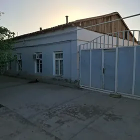 satlyk tejen jaý