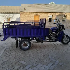 Fekon FK150-8G 2017