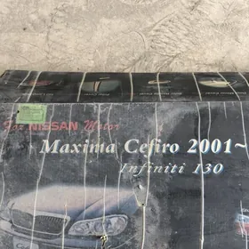 Nikel maxima