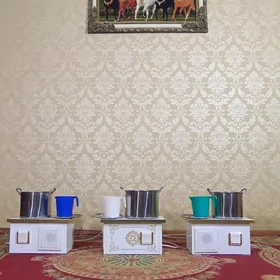 Hamyr yoguryan