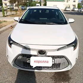 Toyota Corolla 2022