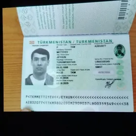 паспорт йитти