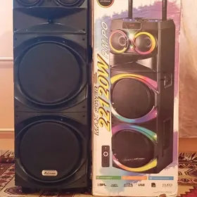 Karaoke kalonka