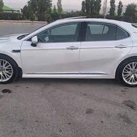 Toyota Camry 2019