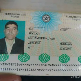 Passport Gozleyan