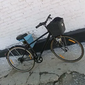 tigir Yapon 27