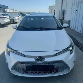 Toyota Corolla 2020