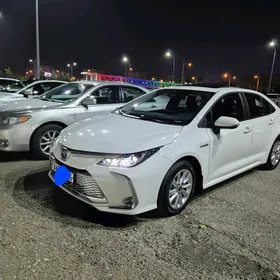 Toyota Corolla 2024