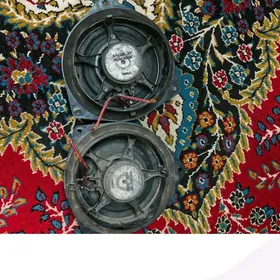 JBL arginal kalonka.