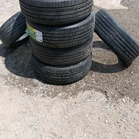 Öküzkelle pakyryşga