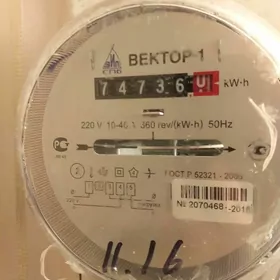 Счётчик "Вектор 1".