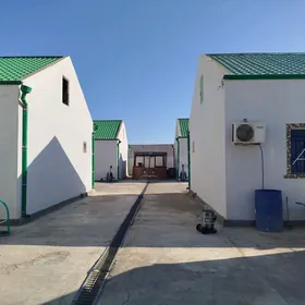 Gulmayakda daça