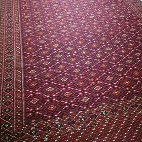 Palas