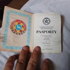 pasport tapdym