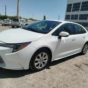 Toyota Corolla 2020