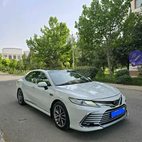 Toyota Camry 2019