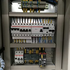 Elektrik ussa