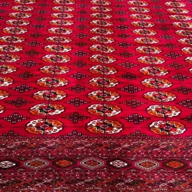 El haly 5/7 gyzlarbat