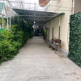 Batanikan yany plan