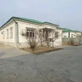SATLYK 2 TAZE ZAMAN 4 KOM