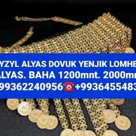 GYZYL ALYAS